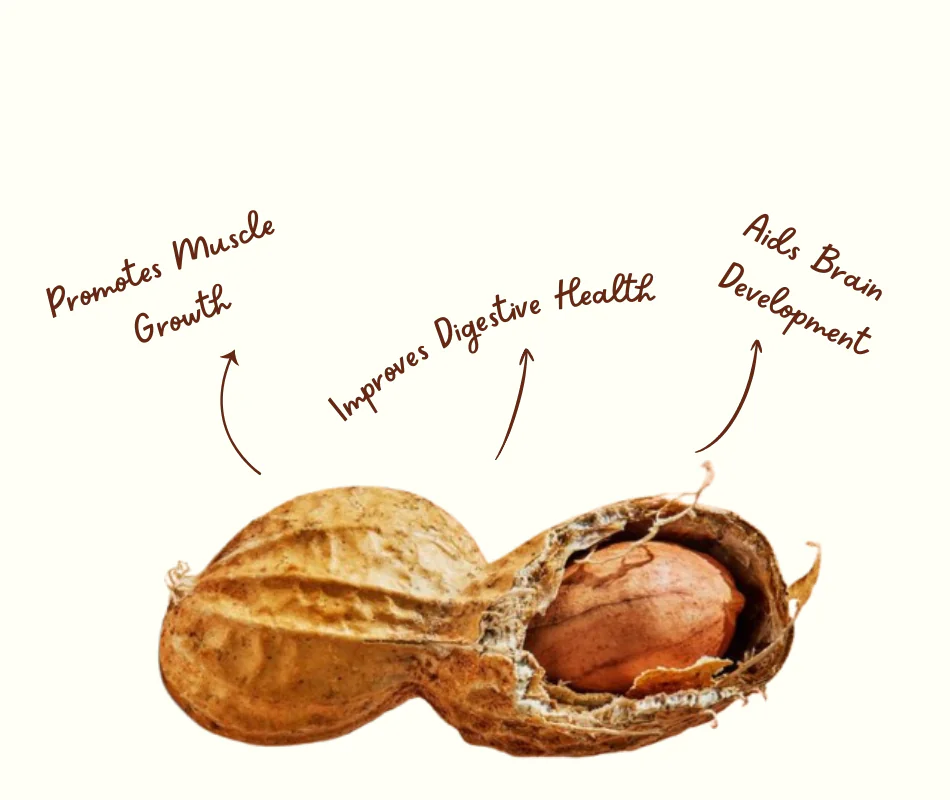 Zero Added Sugar Zero Added Sugar e1767714724643